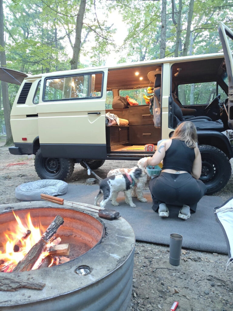 1982 Volkswagen Bus/Vanagon Camper