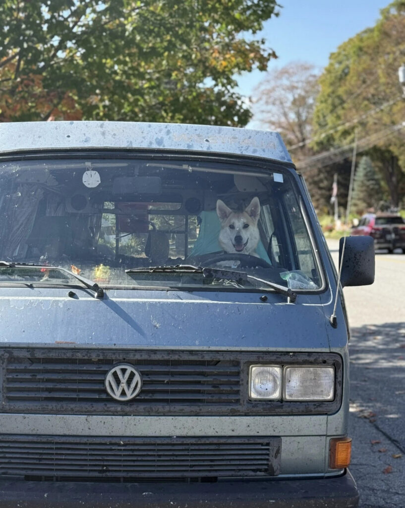 1989 Volkswagen Bus/Vanagon