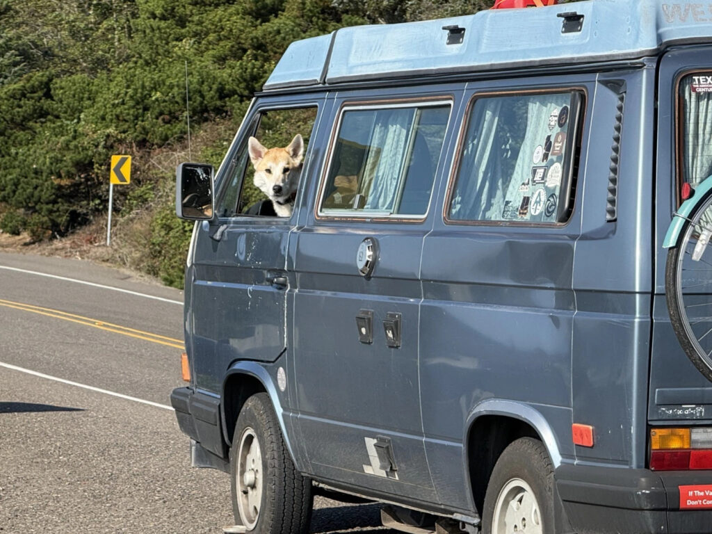 1989 Volkswagen Bus/Vanagon
