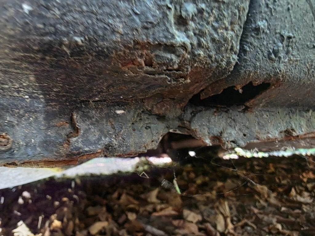 2002 Volkswagen Eurovan MV