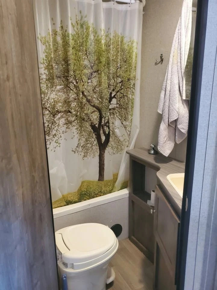 2019 Coleman Lantern Series M-245rk